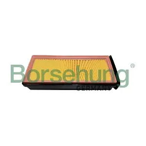 B12459 Borsehung