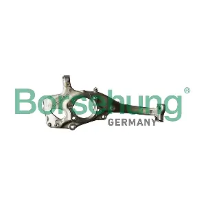 B12108 Borsehung