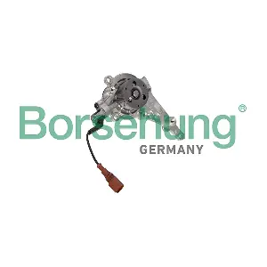 B12671 Borsehung