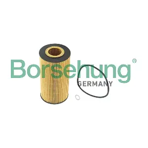 B12220 Borsehung