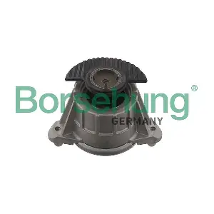 B12643 Borsehung
