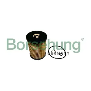 B12456 Borsehung