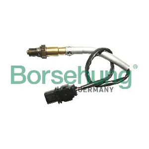 B18929 Borsehung