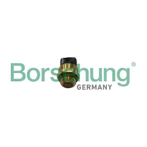 B13131 Borsehung
