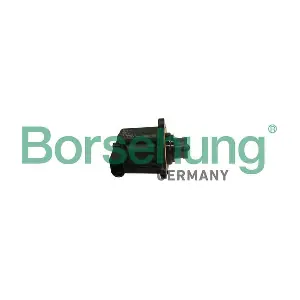 B12336 Borsehung