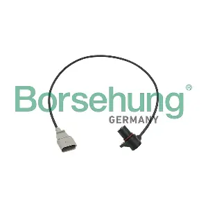 B13672 Borsehung