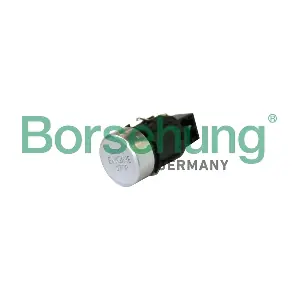 B11590 Borsehung
