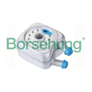 Borsehung B14498