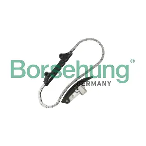 B10209 Borsehung