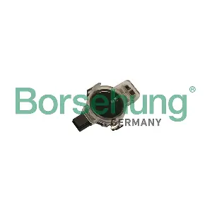B11837 Borsehung