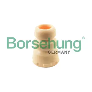 B10025 Borsehung