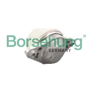 B12650 Borsehung