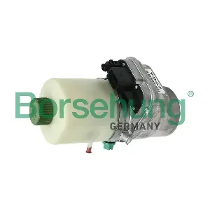 B18472 Borsehung