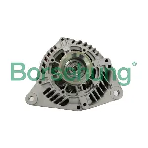 B19090 Borsehung