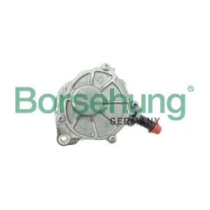 Borsehung B12527