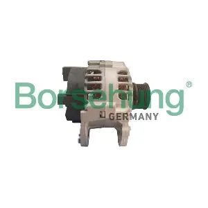Borsehung B12038