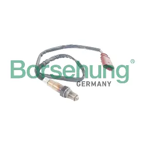 Borsehung B18928