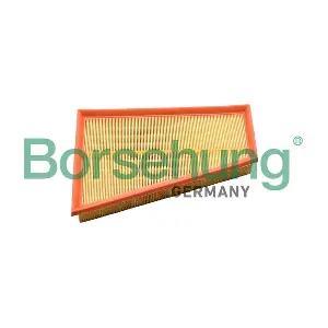 B12397 Borsehung