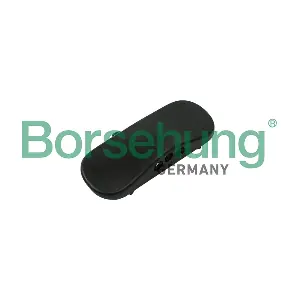 B18494 Borsehung