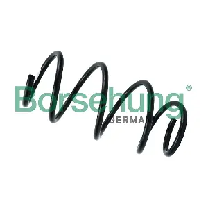 Borsehung B12564