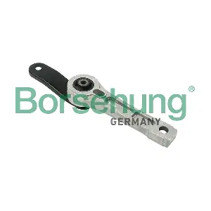 B12266 Borsehung