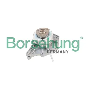 B12674 Borsehung