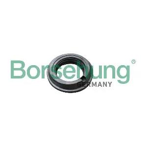 Borsehung B17827