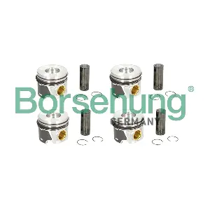 Borsehung B19303