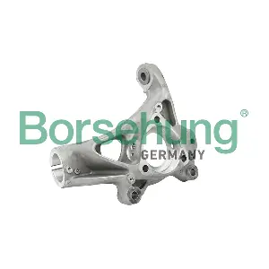 B18510 Borsehung