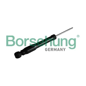 B17891 Borsehung