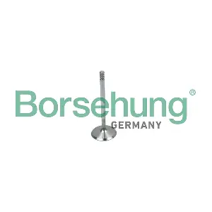 Borsehung B19018