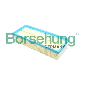 Borsehung B12811