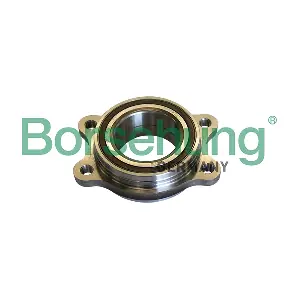 B11292 Borsehung