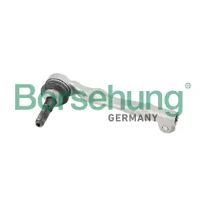 B10821 Borsehung