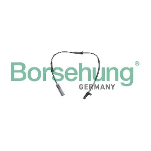 B13106 Borsehung