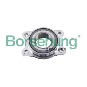 B19058 Borsehung