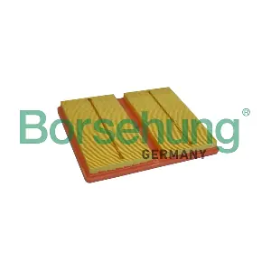 B10528 Borsehung
