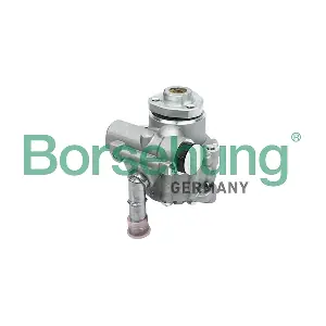 Borsehung B13213