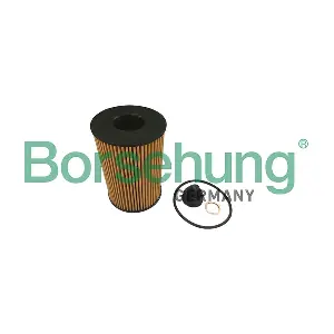 B10461 Borsehung