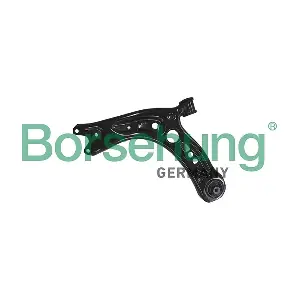 B12954 Borsehung