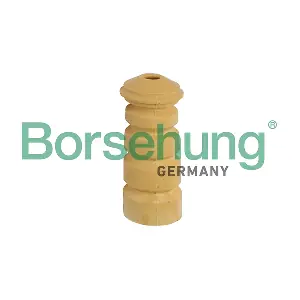 B10009 Borsehung