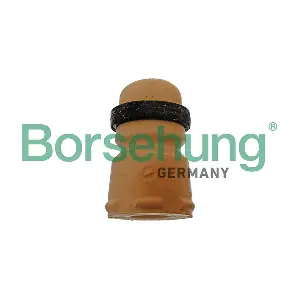 B10024 Borsehung