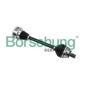 B18355 Borsehung