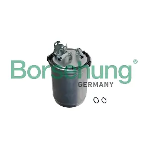 B10474 Borsehung