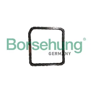 B12785 Borsehung