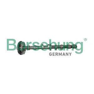 B12413 Borsehung