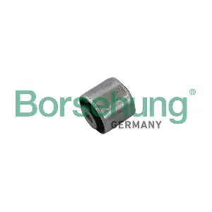 B19195 Borsehung