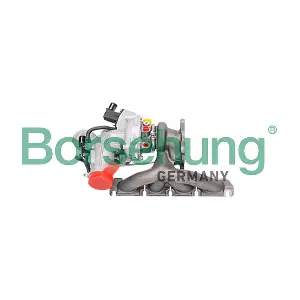 B18958 Borsehung