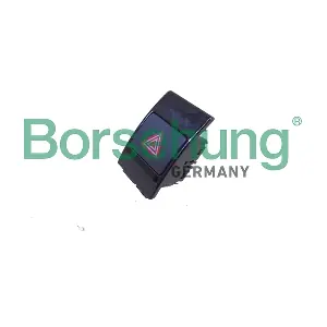 B18024 Borsehung