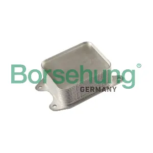 Borsehung B10878